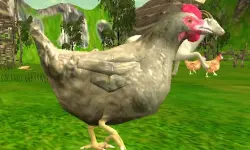Chicken Shooting image