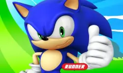 Sonic Dash - Endless Running  amp;amp; Racing Game online image