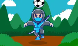 Ninja Head Ball image