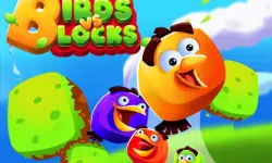 Birds VS Blocks image