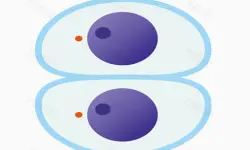 Cutting master image