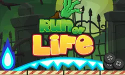 Run of Life Game image