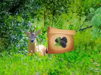 Return To Alsunga Forest