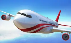 Game Flight Simulator 3D image