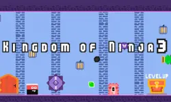 Kingdom of Ninja 3 image