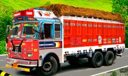 Truck Loads Simulator 3D image