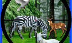 Real Jungle Animals Hunting image
