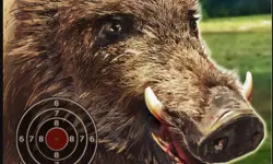 BOAR HUNTING JIGSAW image