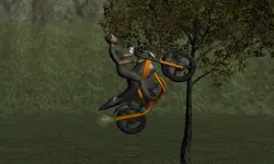 Mountain Bike Rider image