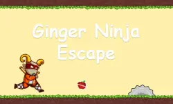 Ginger Ninja Escape image