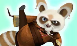 Kungfu Panda Shifu image