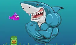 Scary Mad Shark image