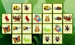 Connect The Insects image