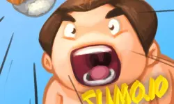 FZ Sumo Battle image