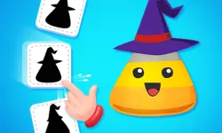 Find The  Correct Shadow image