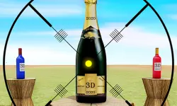 Real Bottle Shooting Game 2020 image
