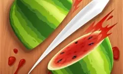 Fruit Ninja Game image