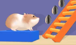 Hamster Stack Maze image