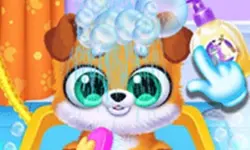 Newborn Puppy Salon image