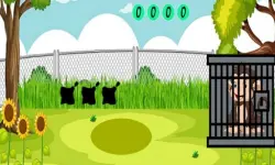 Rescue The Monkey 2 image