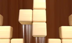 Woodoku Block Puzzle image