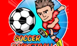 Soccer Basketball image