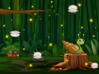 Snail Run