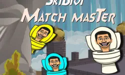 Skibidi Match Master image