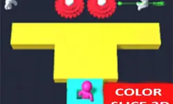 Color Slice 3D image