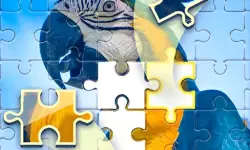 Seafood supermarket image