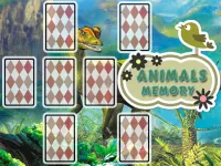 image bg Animals Cards Memory