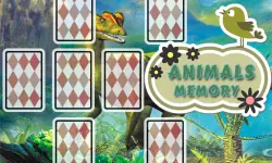 Animals Cards Memory image