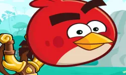 Angry Birds Casual image