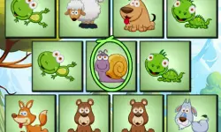 Spot Unique Animal image