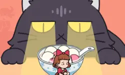 Kitten Hide And Seek image