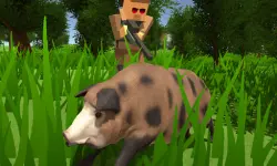 Pixel Hunting.IO image