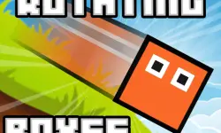 Rotating Boxes image