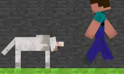 Steve and Wolf image