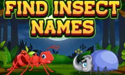 Find Insect Names image