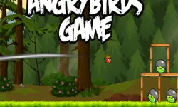AngryBird image