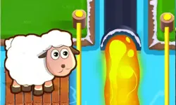 Sheep and road image