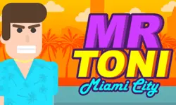 MR TONI Miami City image