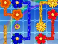 Flowers background