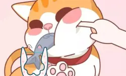 Happy Cat Puzzle image