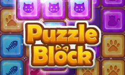 Puzzle Block image
