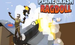 Plane Crash Ragdoll Simulator image