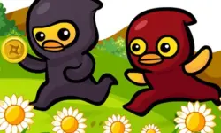 Ducky Adventure image