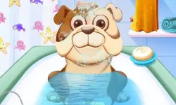 Animal Daycare image