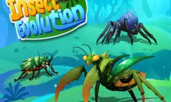 Insect Evolution image