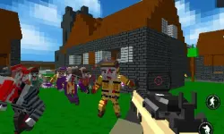 Best blocky Combat Arena 2020 image